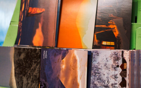 Image Not Found On Media Library